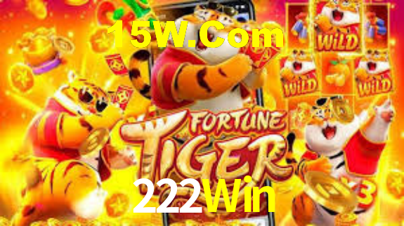 222Win - App Security
