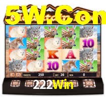 Premium Interface 222Win